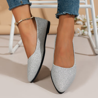 Pointed Toe Flat Bottom Shoes