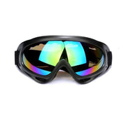 Mountain Snow Goggles